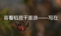 喜看稻菽千重浪——写在秋粮丰收成定局之际