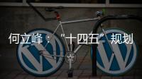 何立峰：“十四五”规划纲要草案指标就像“奋力一跳可以摘到的树上的桃子”