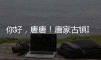 快排公司十年历程，霸屏兔 seo 的崛起与坚守