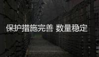 快排公司十年历程，霸屏兔 seo 的崛起与坚守
