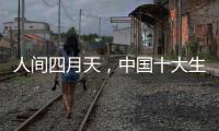 人间四月天，中国十大生态板品牌以质取胜