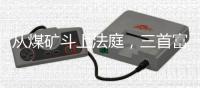 快排公司十年历程，霸屏兔 seo 的崛起与坚守