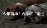 今年首场！合作区“走进澳门”系列讲座开讲