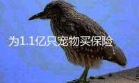 为1.1亿只宠物买保险：如何证明“我的狗是我的狗”