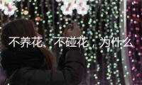 不养花、不碰花，为什么还会花粉过敏�？
