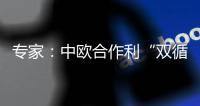 专家：中欧合作利“双循环”运转