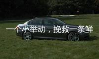 一个小举动，挽救一条鲜活生命
！珠海504名快递员化身"城市哨兵"