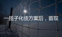 一揽子化债方案后
�，首现城投“统借统还”案例