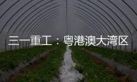 三一重工	：粤港澳大湾区绿色运输新突破：新能源重卡开启跨境物流新纪元