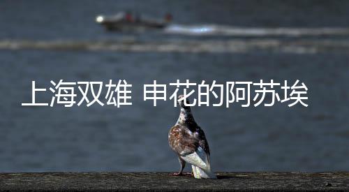 山东泰山1米90 的阿点泽卡