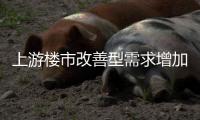 快排公司十年历程，霸屏兔 seo 的崛起与坚守