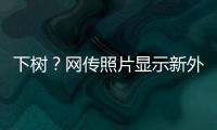 下树？网传照片显示新外援萨拉萨尔身穿亚泰训练服	，抵达训练基地