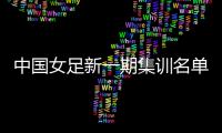 中国女足新一期集训名单：王霜吴海燕领衔