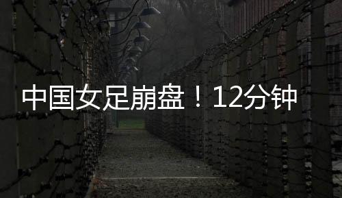 崩盘澳大利亚主教练
