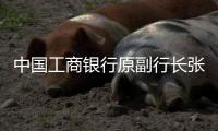 中国工商银行原副行长张红力接受审查调查