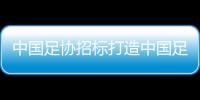 中国足协招标打造中国足球行业大模型，投标限价1068万元