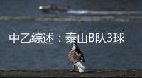 快排公司十年历程，霸屏兔 seo 的崛起与坚守