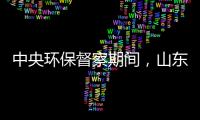 中央环保督察期间，山东又有陶企被查处!