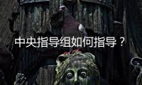 中央指导组如何指导
？