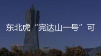 东北虎“完达山一号”可能已“脱单”�
！