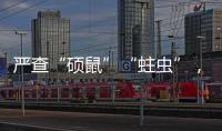 严查“硕鼠”“蛀虫”
，十起典型案例公布！