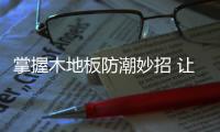 快排公司十年历程，霸屏兔 seo 的崛起与坚守