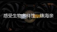快排公司十年历程，霸屏兔 seo 的崛起与坚守