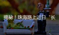揭秘！珠海路上近日“长”出的红色小锥锥有什么用
？