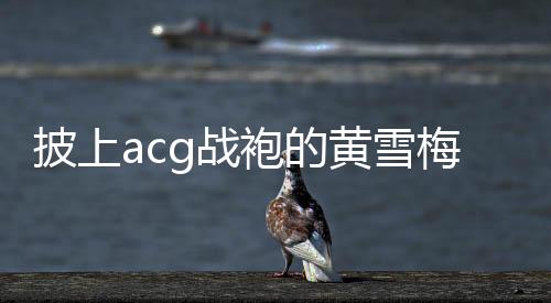 披上袍耗时7个多小时