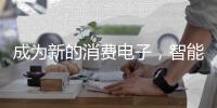 成为新的消费电子，智能锁还有哪些路要走?