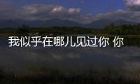 我似乎在哪儿见过你 你是央视上的丰叶板材
！