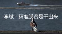李斌：精准脱贫是干出来的