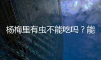 杨梅里有虫不能吃吗？能吃	！