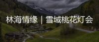 林海情缘｜雪域桃花灯会探营，氛围感拉满！