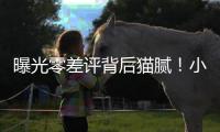 曝光零差评背后猫腻！小红书	、闲鱼成水军接单重灾区