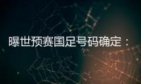 曝世预赛国足号码确定

：艾克森11号 武磊7号