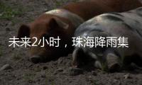 未来2小时，珠海降雨集中在金湾区
�、合作区和万山区