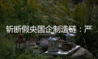 斩断假央国企制造链
：严审特殊字词
，申报系统联网