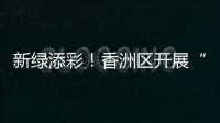 新绿添彩！香洲区开展“我为全运种棵树”义务植树活动