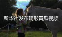 新华社发布畸形黄瓜视频爆火，戳破了当下教育最大的真相