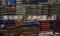 新华微评：无声的爱
，炽热的中国心