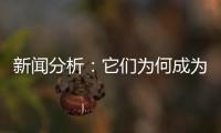 新闻分析�：它们为何成为2020年度全国十大考古新发现	？