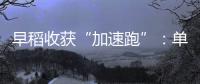 早稻收获“加速跑”：单产提升行动显成效 丰收基础稳