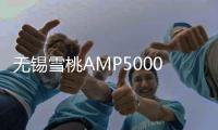 无锡雪桃AMP5000型沥青搅拌站用于沪武高速HKW—SZ23标	！