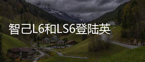 智己版权归原作者所有