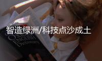 快排公司十年历程，霸屏兔 seo 的崛起与坚守