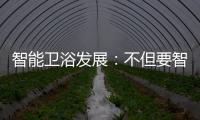 智能卫浴发展：不但要智能 更要有品位