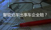 智能泊车出事车企全赔？比亚迪发布