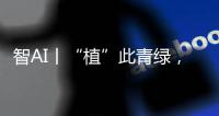 智AI丨“植”此青绿
，渔女带你探访珠海古树，感受古韵里的城市记忆