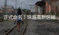 正式命名	！珠海高新区鲸奇幼儿园9月“启航”招生